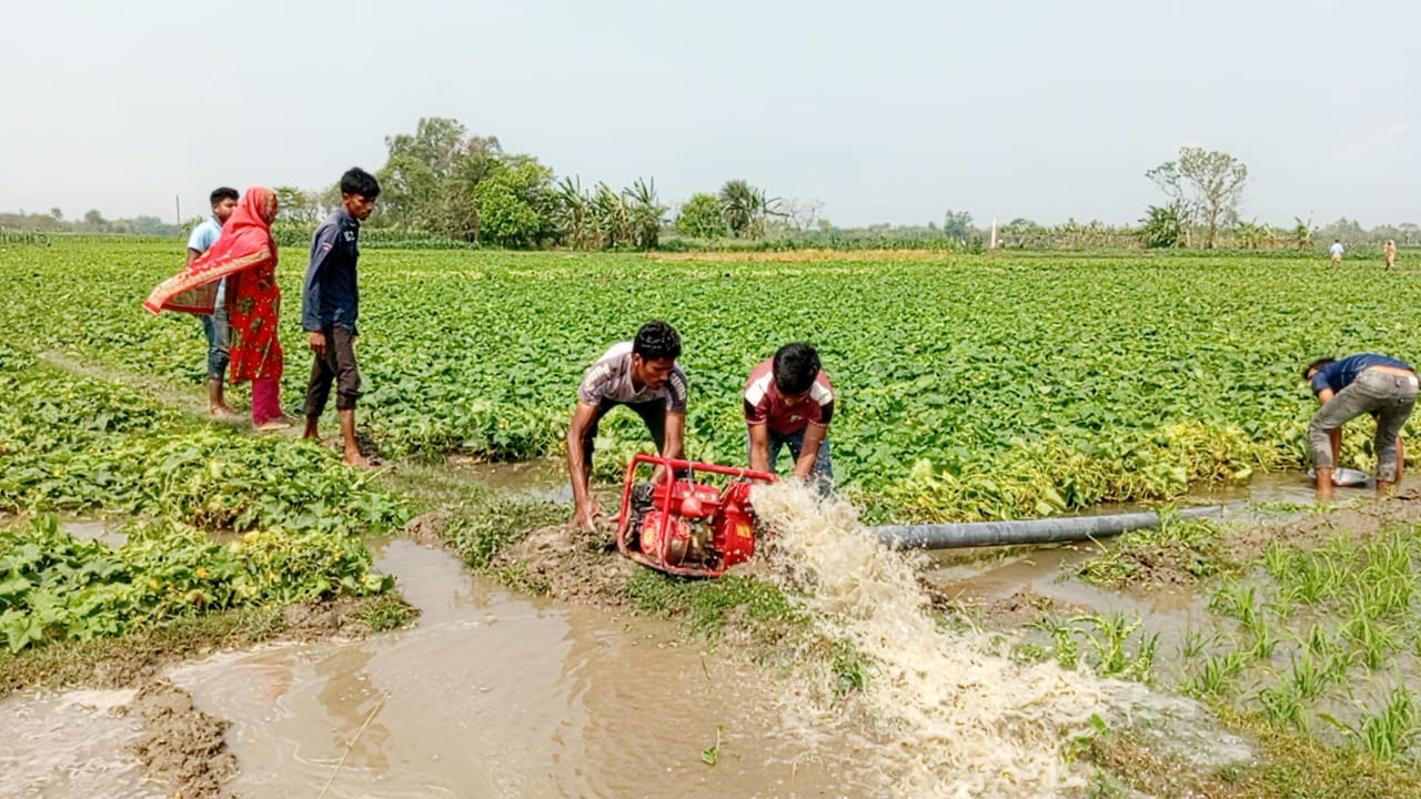 পাঁচবিবিতে হঠাৎ বৃষ্টিতে বিভিন্ন ফসলের ব্যাপক ক্ষতি