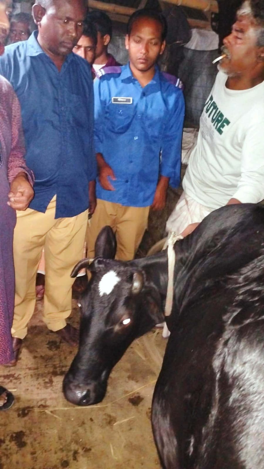জনপ্রতিনিধি ও প্রশাসনের উদ্যোগে চুরি হওয়া দশটি গরু উদ্ধার,